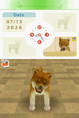 a real dog owner plays nintendogs (day 1!)