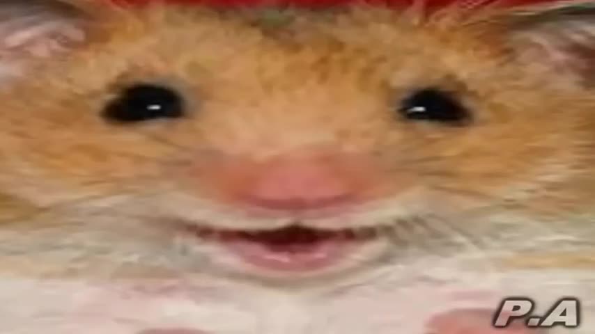 BOKU NO JERRY (Parodiadoranimado) but es una CANCIÓN ｜ IA COVER