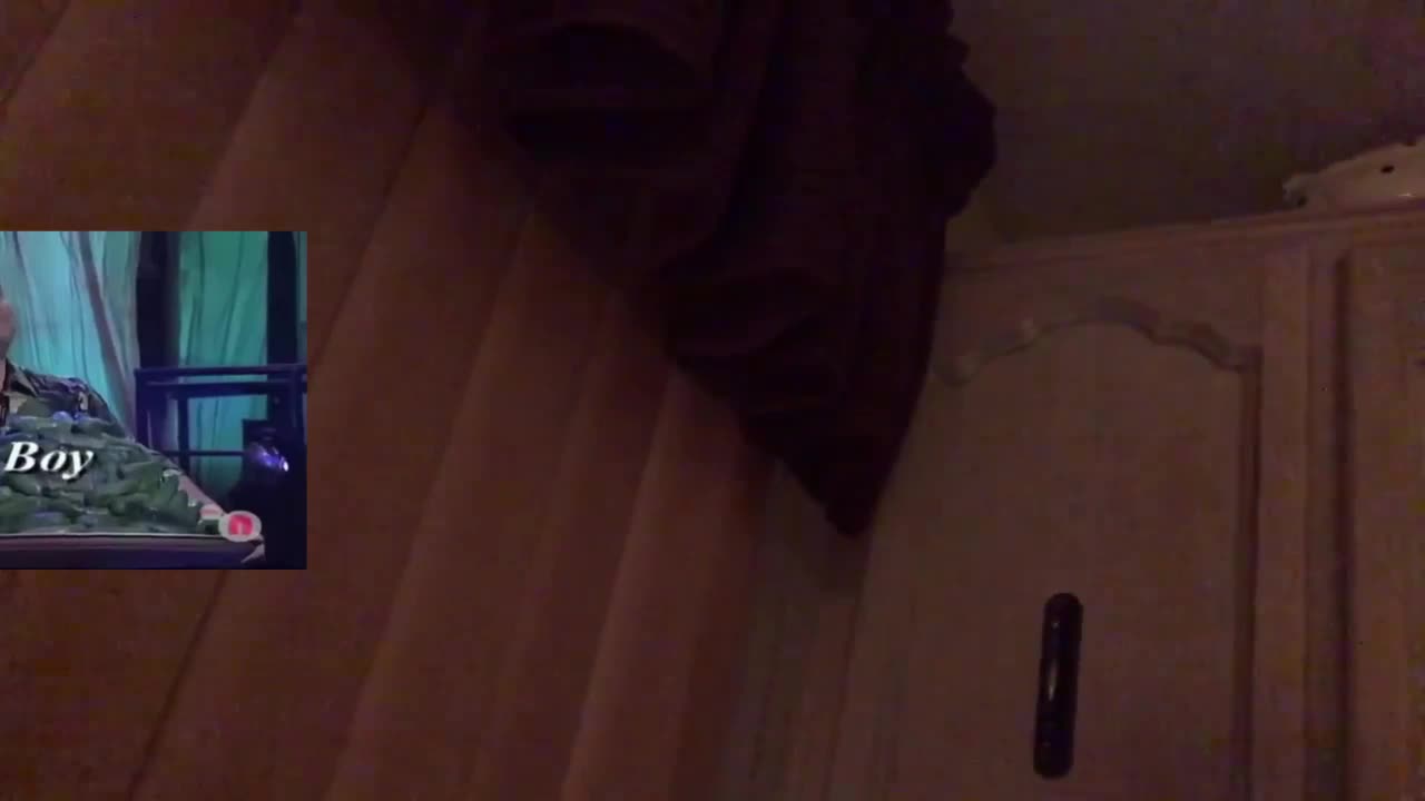 my pickle vid my pickle vid