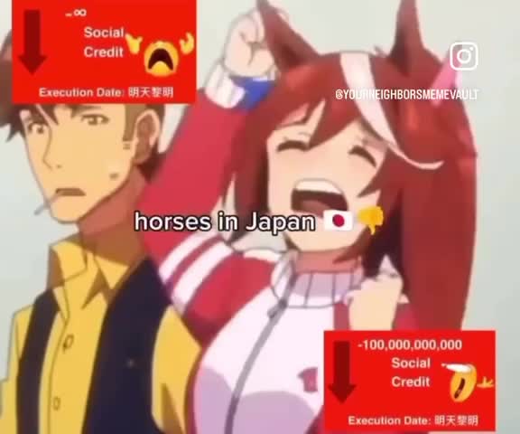 From Idols to Stew: The Horse Divide