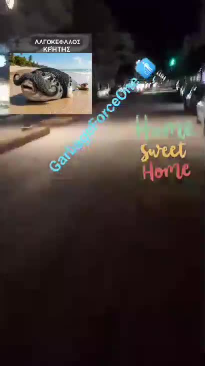 Вечерний вывоз мусора 😍