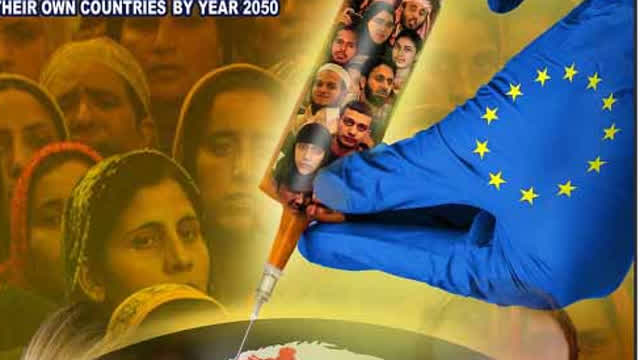 the great replacement (reupload from Instagram not mine)