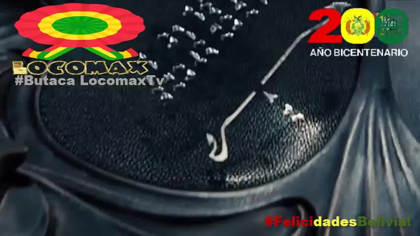 LocomaxTv Bolivia Anime Agosto 2025