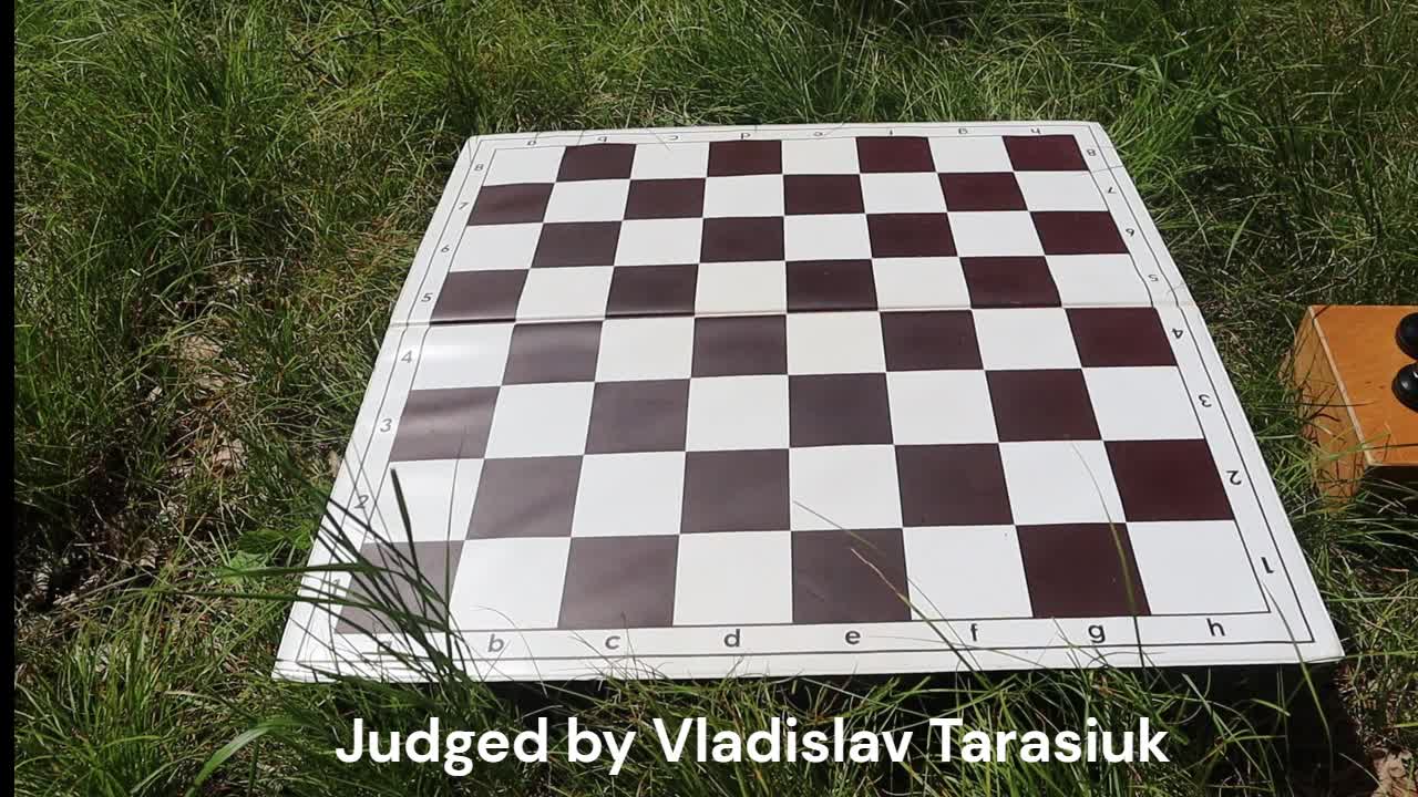 Michael Pasman - chess study with draw Michael Pasman - chess study with draw