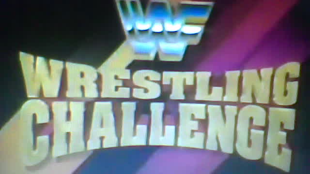 THE UNDERTAKER  VS  TED HONDO