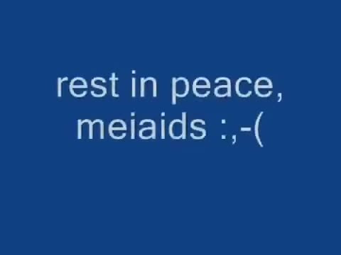 tribute to meiaids