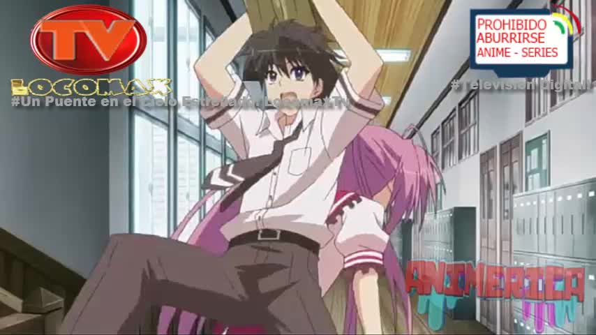 LocomaxTv Bolivia Anime Enero 2026