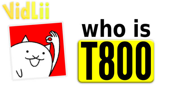 who actually is T800 who actually is T800