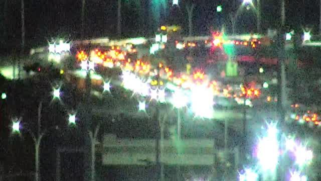 Stupid Never Ending Life in Stupid Never Ending City