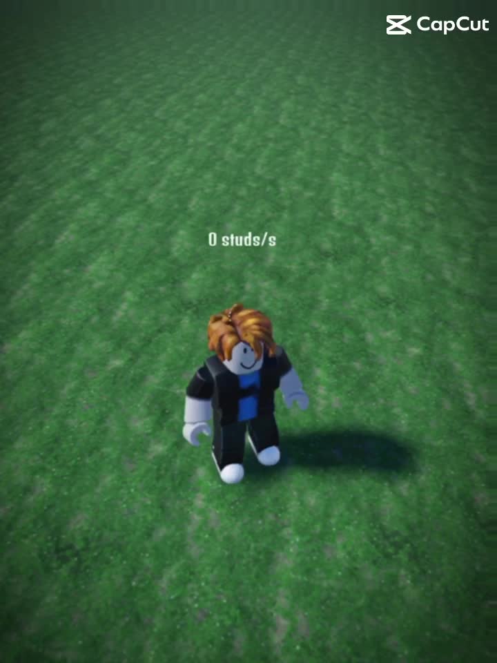 Roblox_Chase edit