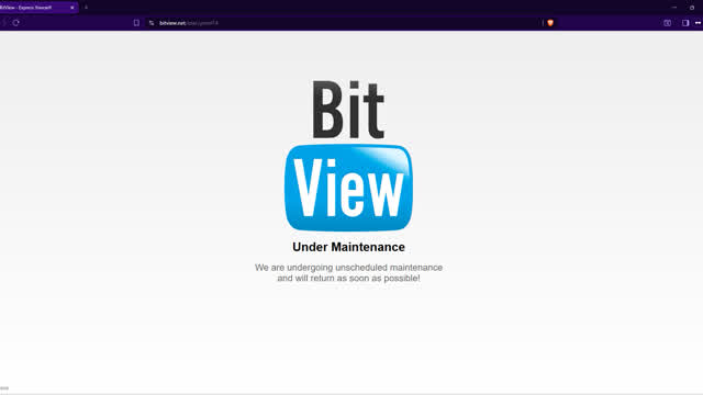 los servidores de bitview en estos momentos