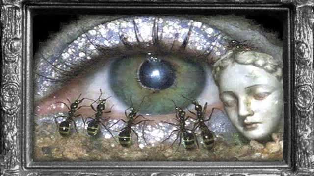 TW eating ten carrots!! and i hate carrtotss!!!!!! unedited raw footage