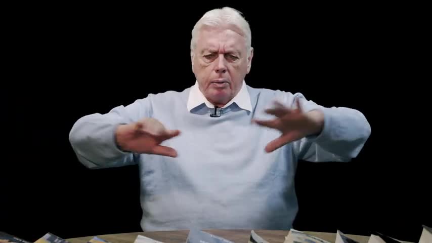 What REALLY Happened at Bondi Beach - And Why