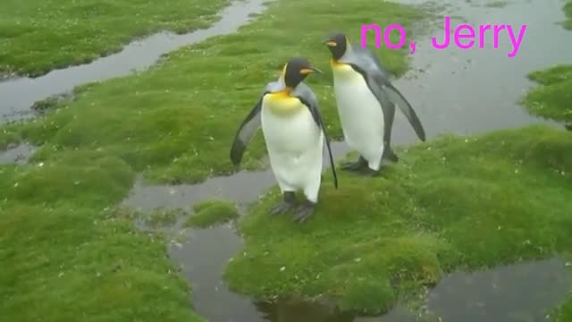 "LEMME SMASH" compilation for 11 minutes "LEMME SMASH" compilation for 11 minutes