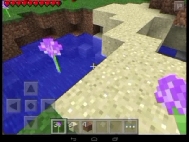 Cool Minecraft bug