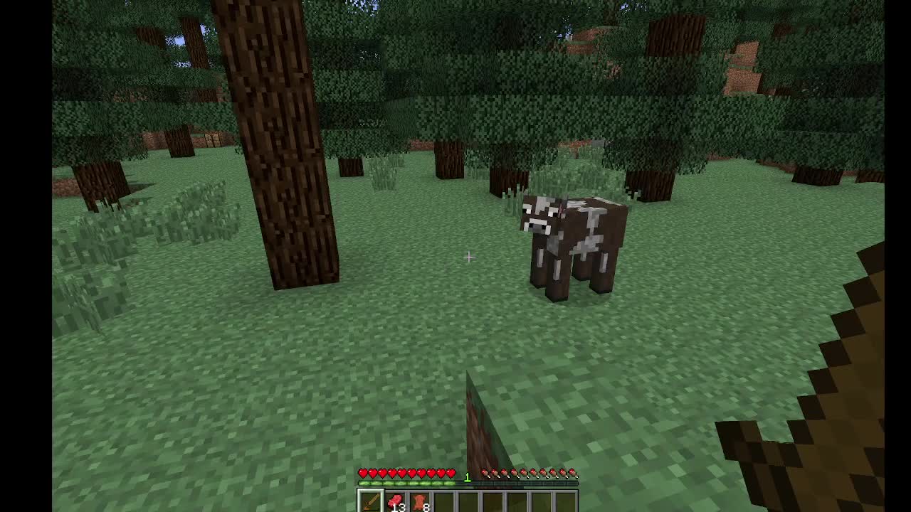 weil ich  in der Letzen  Welt das zuhause nicht mehr gefunden habe (neu Start)