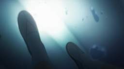 Spy X Family Dublado - Temporada 1 Episodio 11