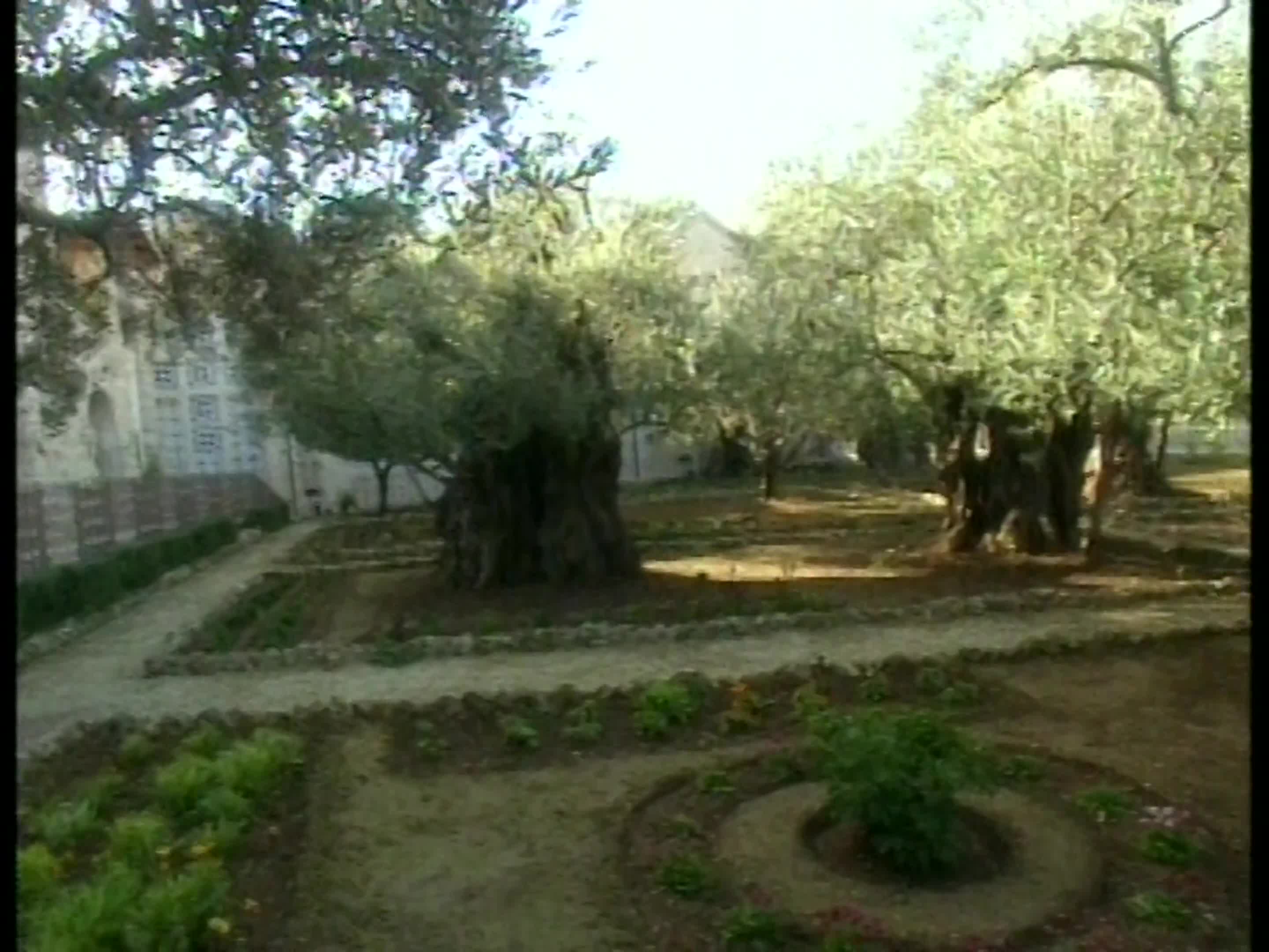 MEL GIBSON'S PASSION; MEL GIBSON MOGS DIANE SAWYER AND THE ENTIRE WORLD FOR 40 MINUTES STRAIGHT