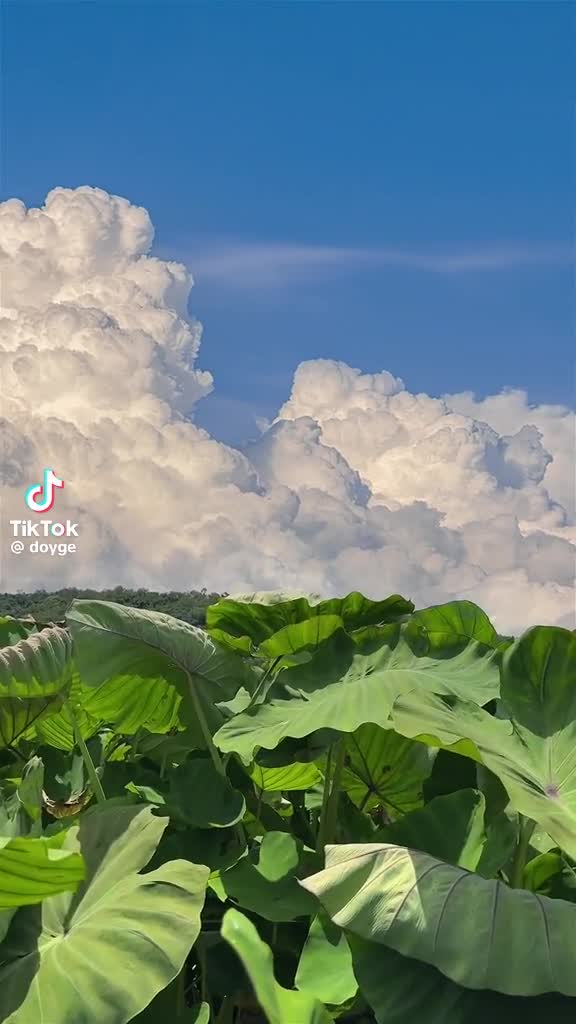 i wanna be here #minis