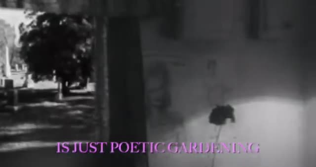 I Hope That Its Fatal