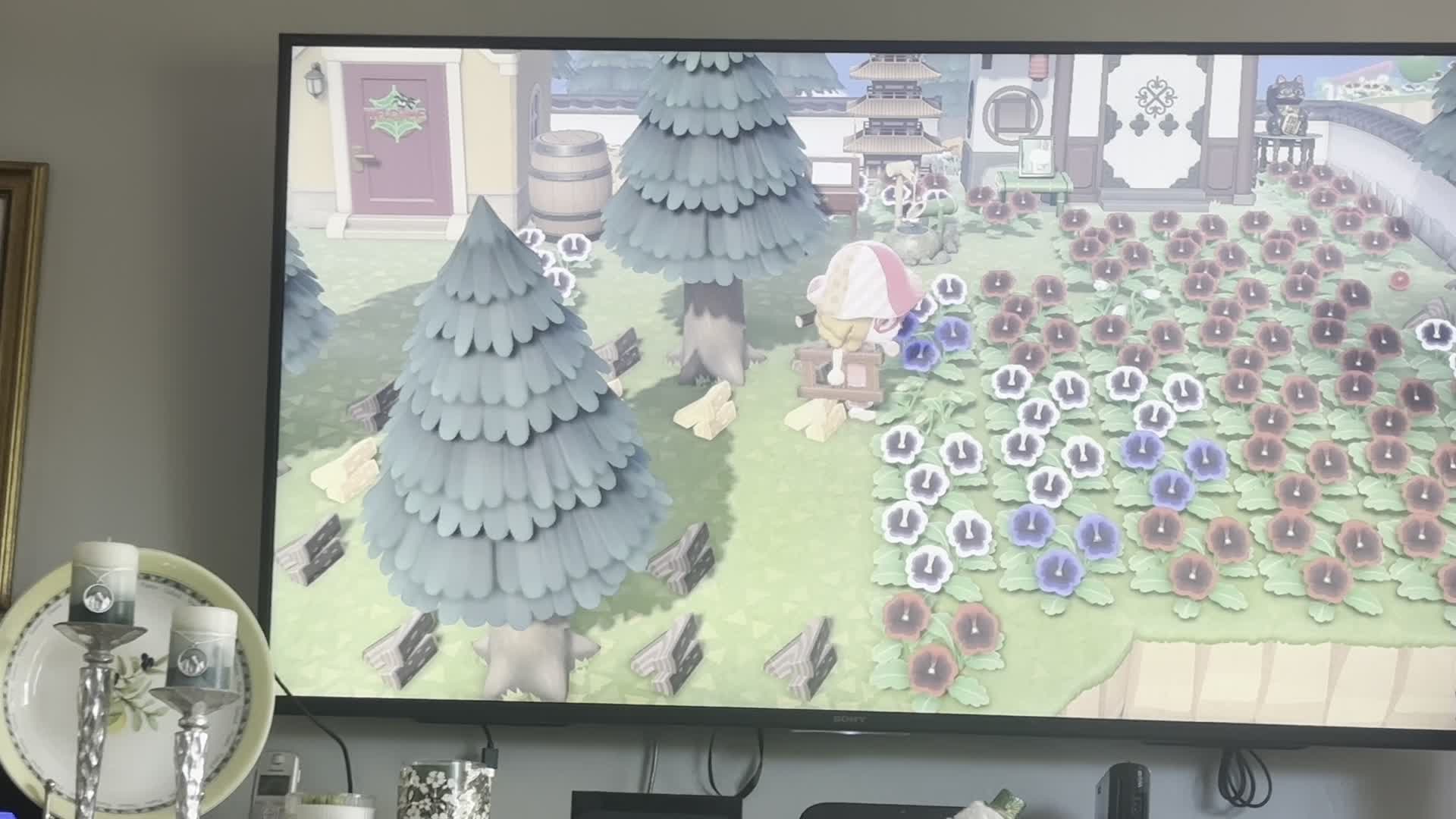 Sick Genji (3-05-2026)