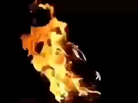 homerr.avi