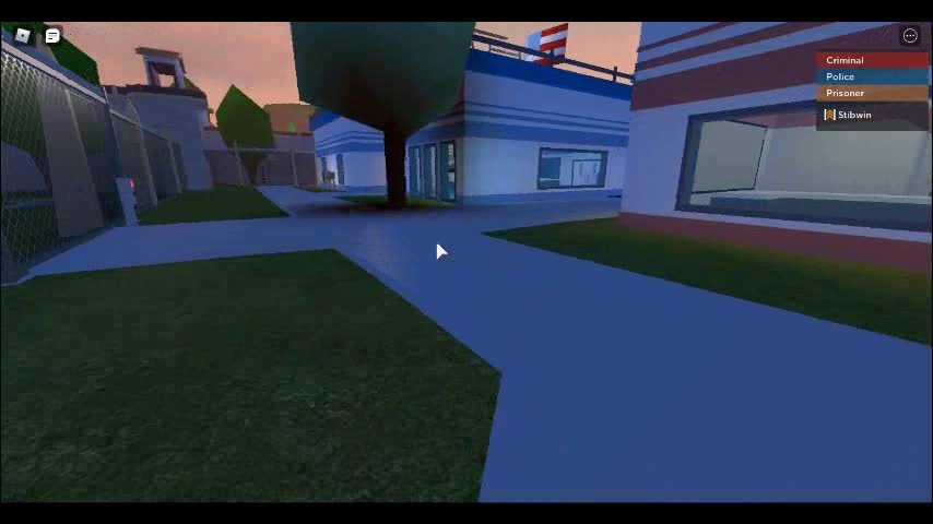 robloxapp-20250810-2124584