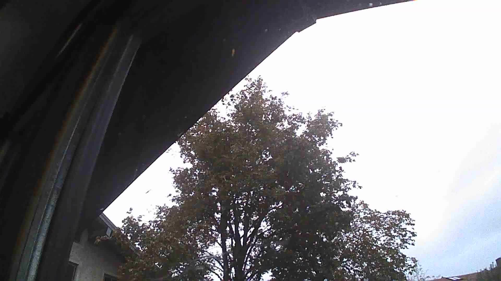 Wenn die Natur tobt: Sturm hautnah