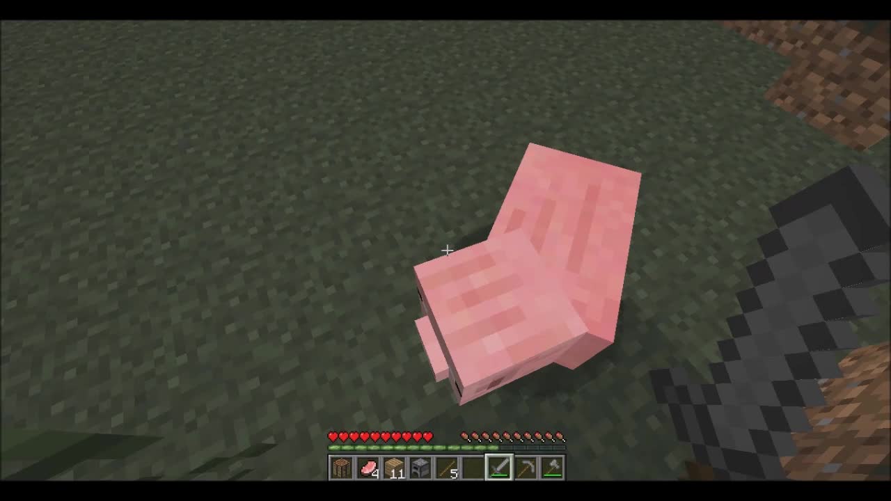 Jugando Minecraft!