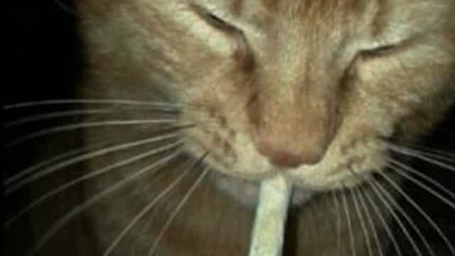 Watch me do stuff bleh:p