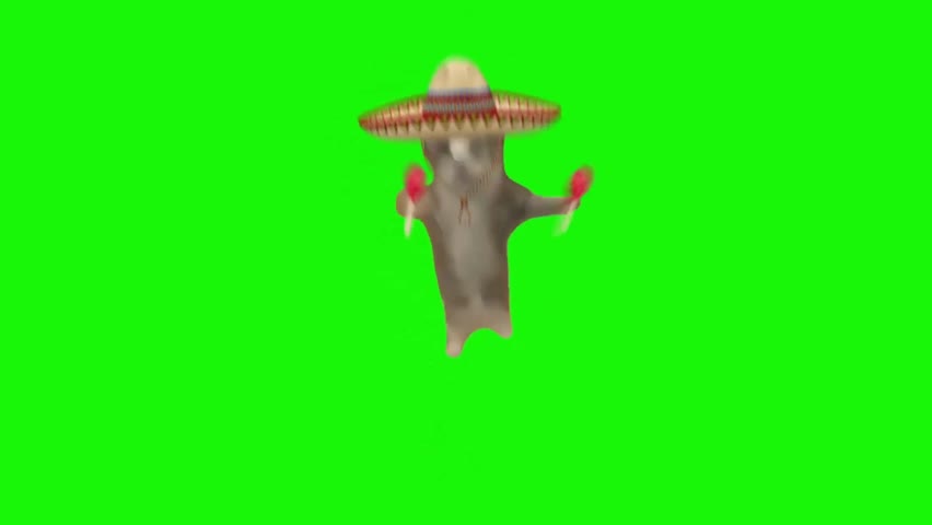 Spanish Happy Happy Cat