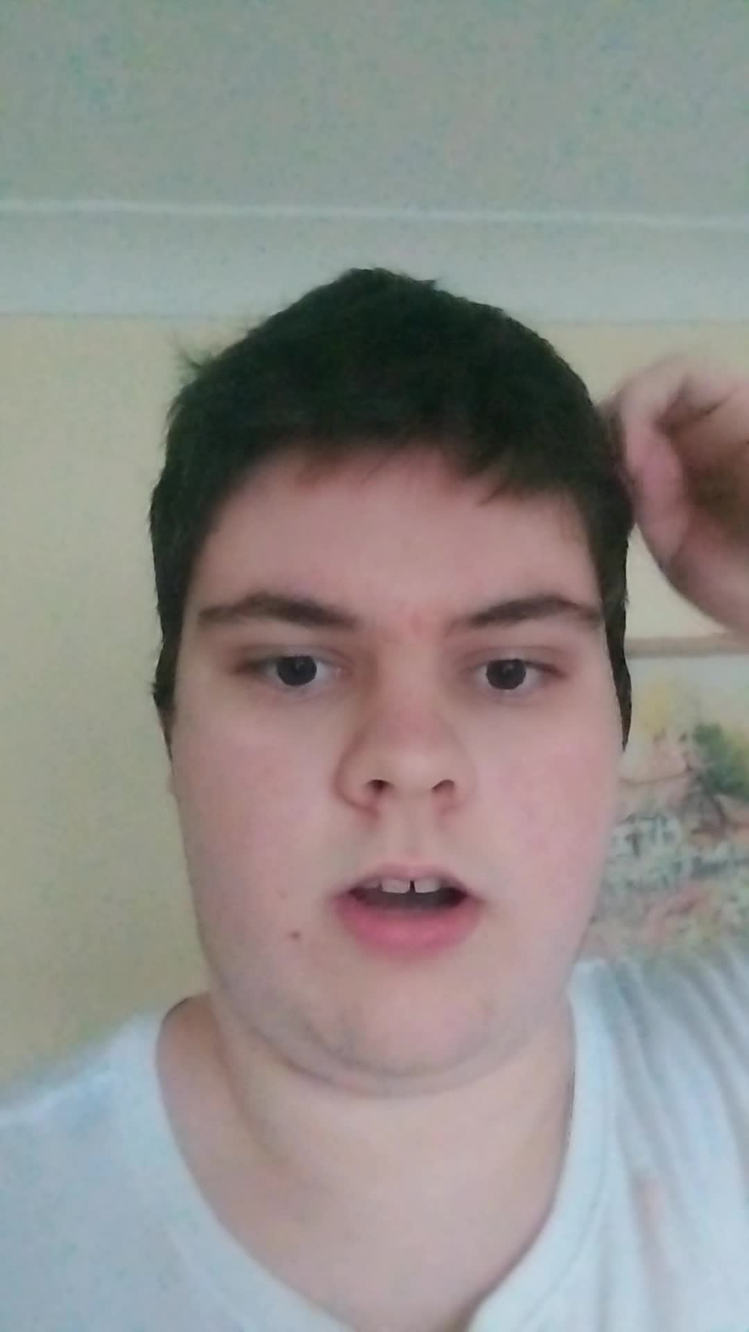 vidlii minis removed #minis