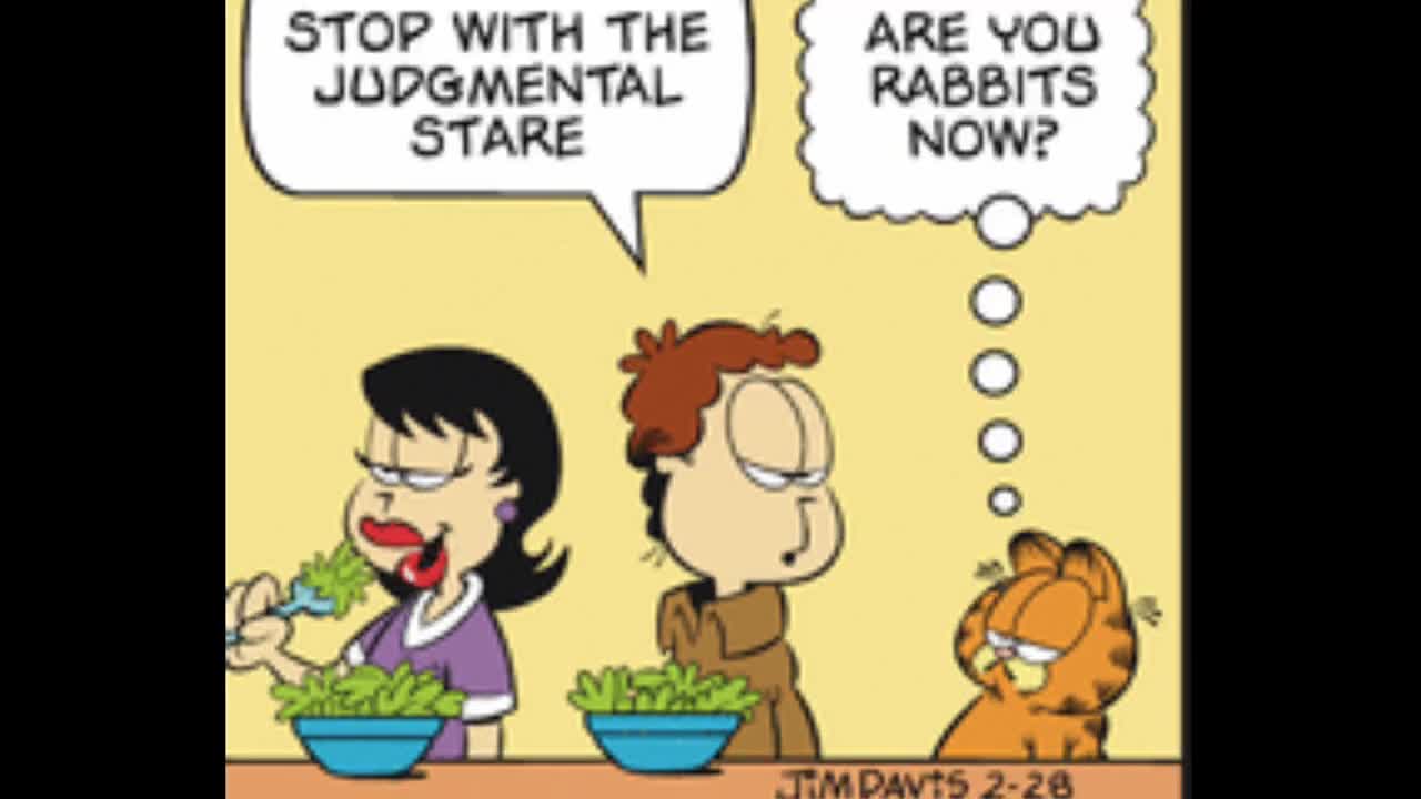 2025_02_28 Garfield Comic Dub