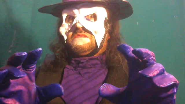 kelso the undertaker vs colin dash kelso the undertaker vs colin dash