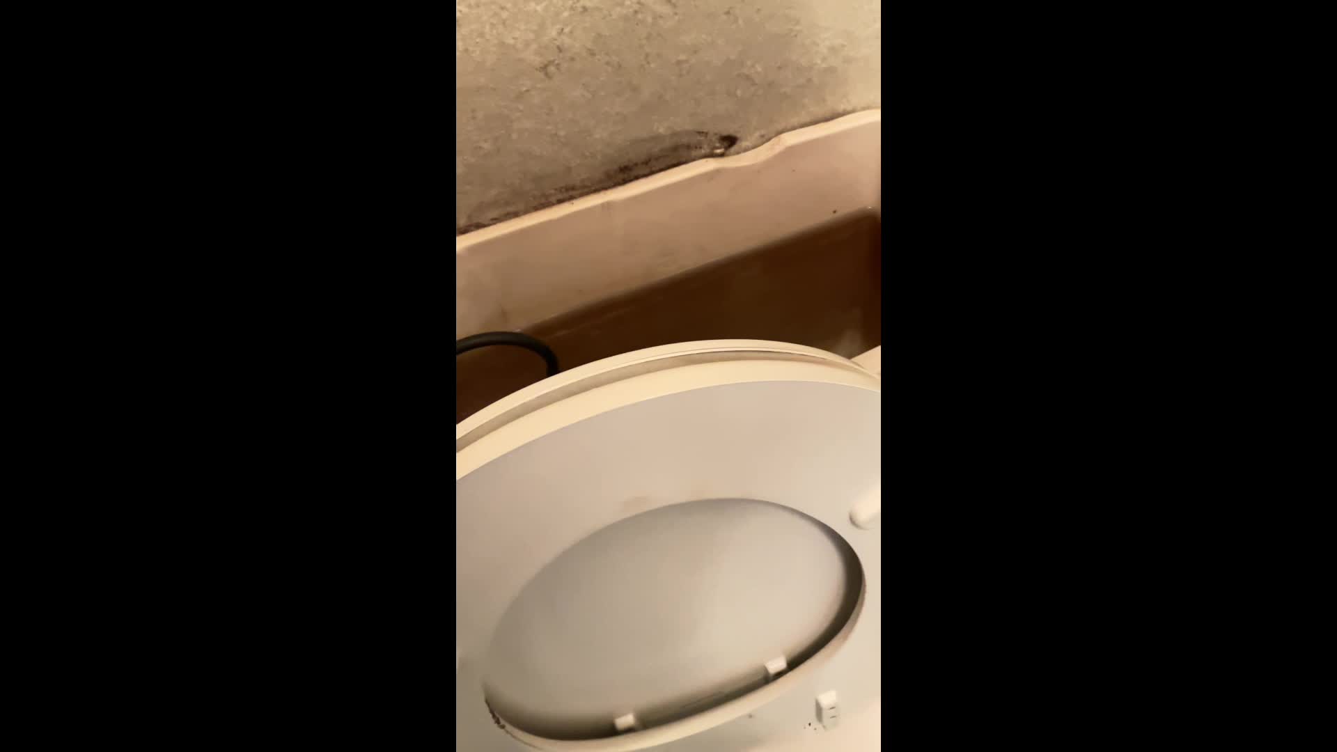 I’M TRANS (toilet pt 3) I’M TRANS (toilet pt 3)
