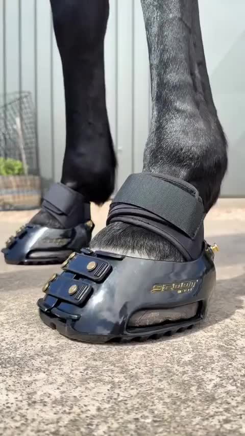 Horseshoes just got gangsta 🐴😎