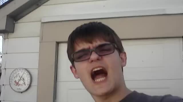 MISTER REPZION KILLED MY PET CANARY WITH ROCKS MISTER REPZION KILLED MY PET CANARY WITH ROCKS