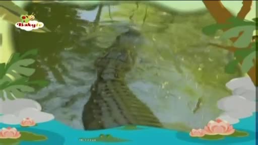 Bim and Bam - Crocodile