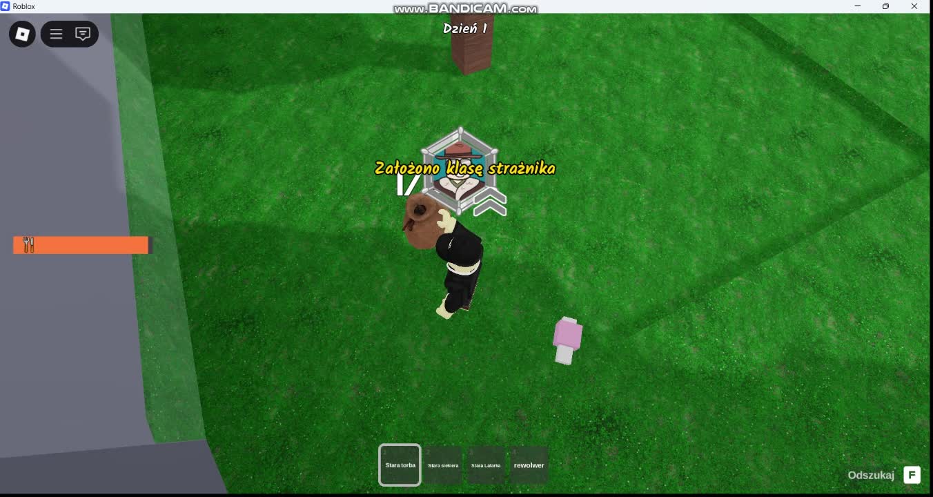 Roblox:99 nights in the forest