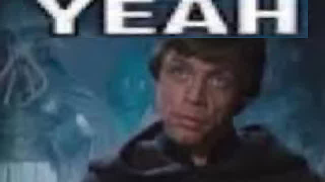 YOLO