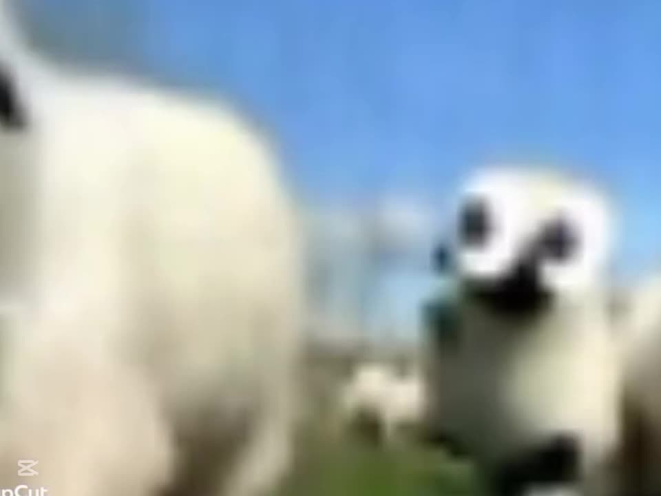 yo dude.v3 yo dude.v3