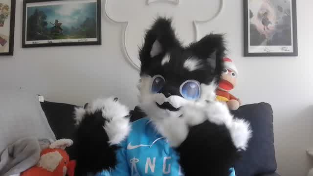Why Does VidLii Dislike Furries Why Does VidLii Dislike Furries
