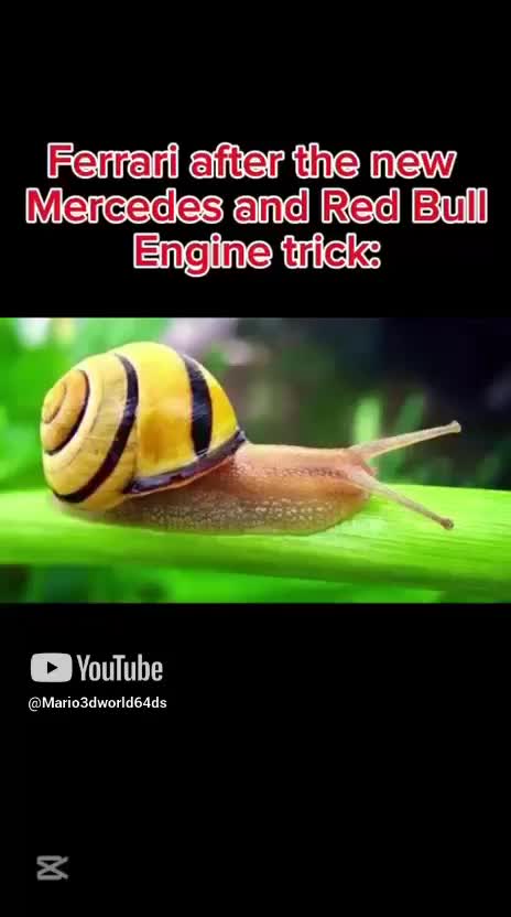Ferrari after the new engine trick_ #ferrari #ferrari2026 #ferrarif1 #fnfmod #meme #mario #videomeme