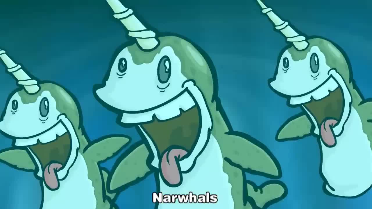 Narwhals