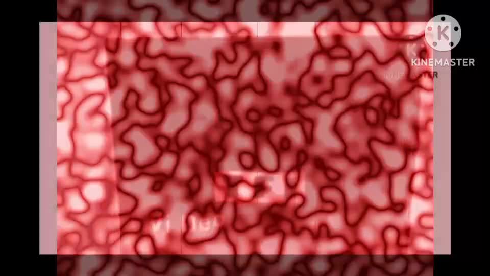 THE TF! VIDEO 10 TO THE 100TH POWER TIMES SCARIER!