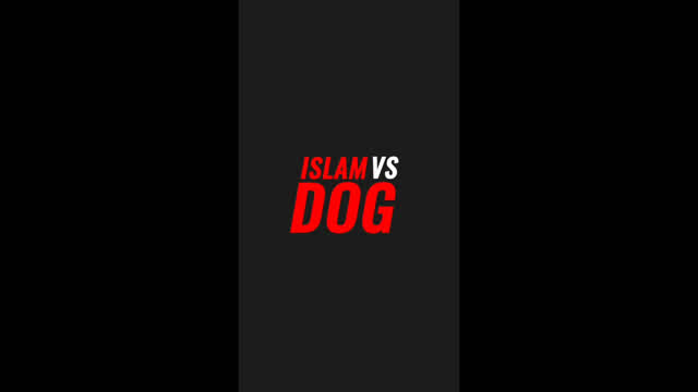 Dogs can see evil that was no angel
