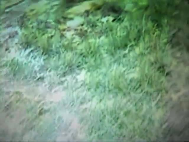 Mario & Luigi - ''Cinema'' - (Cayby J)