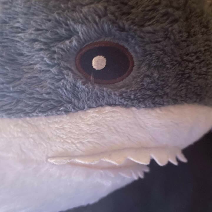 I Can't think too fast- Widemouth howie