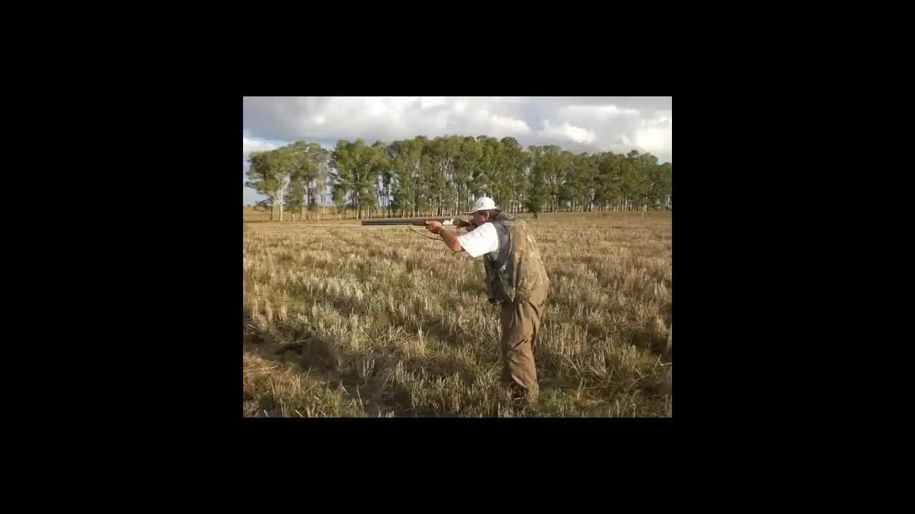 La tetrica realidad de los escandalosos teoria(720P_HD)