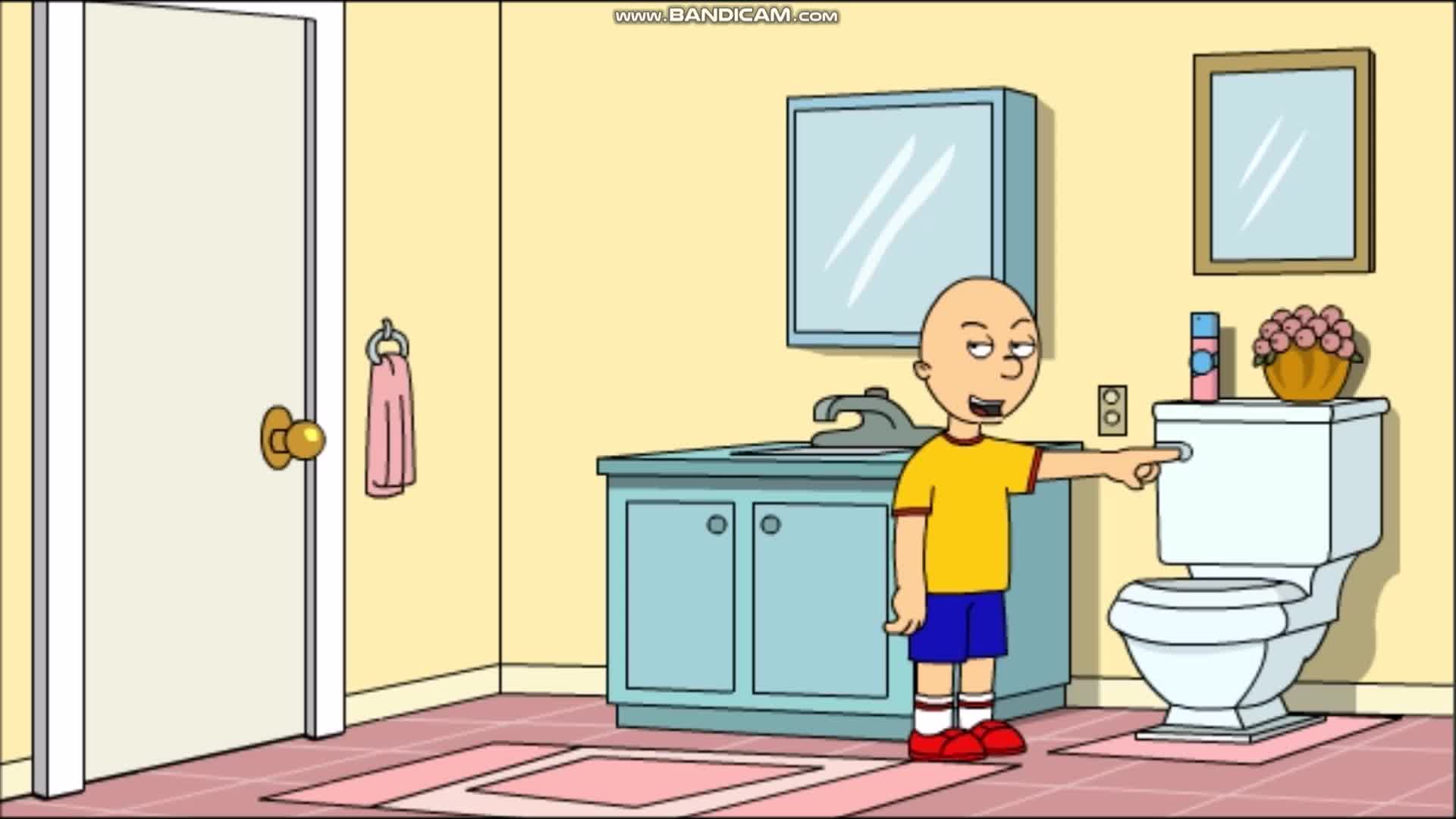 Caillou Flood's the House and get's grounded